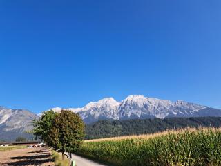 Gasthof Tiefenthaler - 1