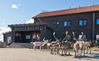 Lapland Hotels Pallas - Berggipfel Pallastunturi - 4