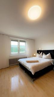 Spacious Garden Villa near Danube For 16 Guests - Wenen - 7