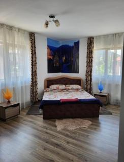 Casa Rarăului - Câmpulung Moldovenesc - 4