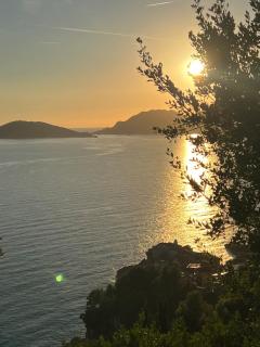 La casina fra gli oleandri - Zaneca - 4