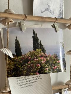 La casina fra gli oleandri - Zaneca - 2