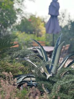 La casina fra gli oleandri - 0