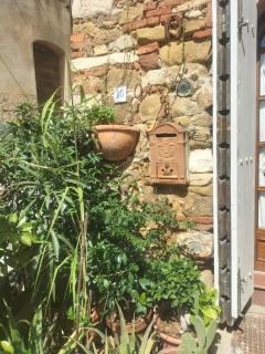 Al Tuffatore Etrusco - Campiglia Marittima - 9