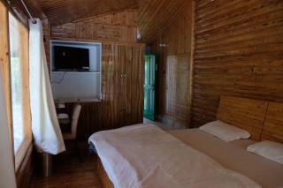 River Side Resort Barot - - 3