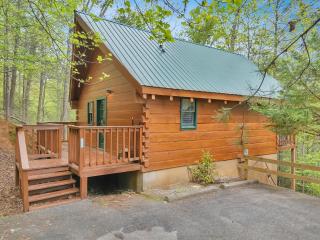 Foxy Lady #1531 - Gatlinburg - 0