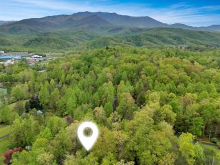 Foxy Lady #1531 - Gatlinburg - 8