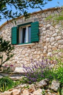 Island Getaway Heritage House - Mirce - 4