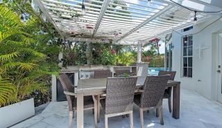 Bougainvillea - Marco Island - 4
