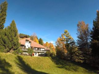 Spacious Open-plan and Peaceful Chalet in Salums - Laax - 9