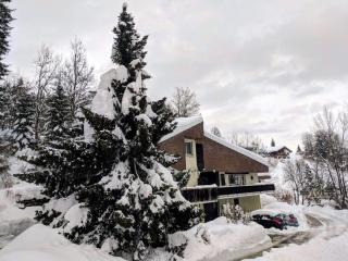 Spacious Open-plan and Peaceful Chalet in Salums - Laax - 8
