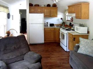 Quaint Cabin with Comfy Interior in Inverness, Florida - Inverness - 0