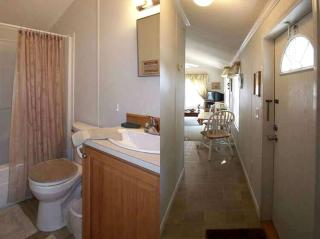 Quaint Cabin with Comfy Interior in Inverness, Florida - Inverness - 3