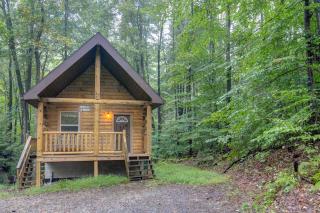 Fantastic Cabin with Hot Tub and Fire Pit in Bruceton Mills, West Virginia - - 0