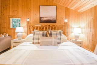 Stargazer Chalet - 2