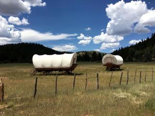Classic Conestoga Wagon Ideal for a Glamping Getaway near Bryce Canyon, Utah - Alton - 5