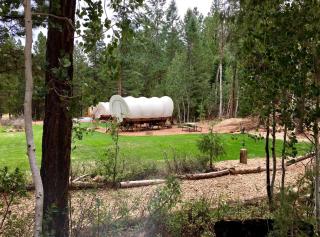 Traditional Conestoga Wagon Perfect for a Family Getaway near Zion National Park, Utah - Alton - 9