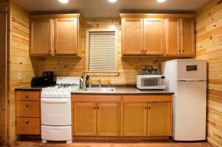 Charming Cabin Rental Nestled in the Peaceful Woods of Huron National Forest, Michigan - Five Corners - 3