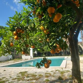 MASSERIA INCANTAMENTO Suite Bouganville - 9