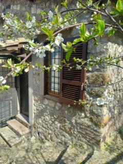 Autenticum Agriturismo Tolfa - Tolfa - 4
