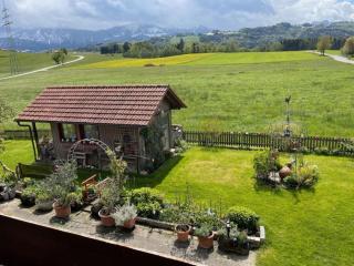 Appartement 3 - Rohrdorf - 2