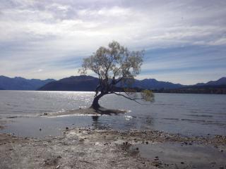 Charming Lakeside Home - Wanaka - 6