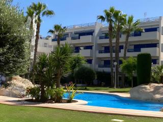 Apartment In Playa Flamenca - Playa Flamenca - 9