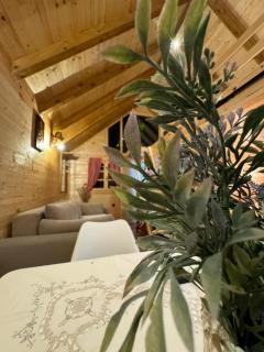 Etno house - Mojkovac - 7