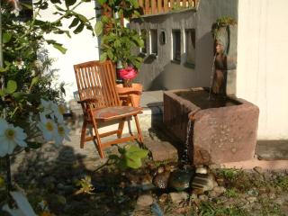 Fewo Heuboden im Winzerhof - Vogtsburg - 0