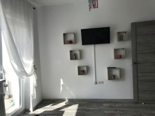 Fok Flat Sibiu - Turnişor - 4