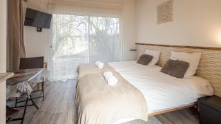Les Suites du Jardin 2 - La Chambre du Jour - 2 pers - Chaumont - 5