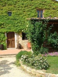 Ferienwohnung Grün - San Donato in Poggio - 1