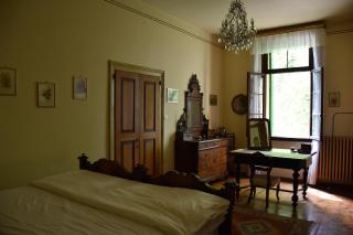 Villa Ca' Conti - Granze - 1