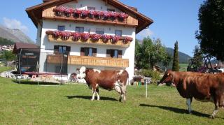 Rosenheim Appartement 2 - Maranza - 4