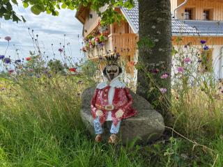 Fischerhof - Höchenschwand - 3
