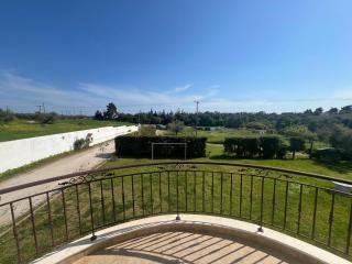 Villa Pelagia - Kalivia Poligirou - 3