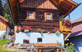 Ferienhaus Mit Sauna - 9