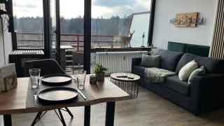 Ferienwohnung Panoramablick Hahnenklee - Hahnenklee-Bockswiese - 9