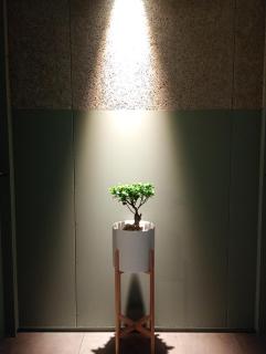 At Hotel ORTO - Fukuoka - 3