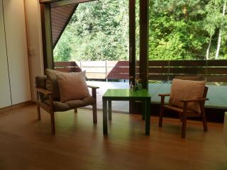 Haus Talblick Sasbachwalden - Sasbachwalden - 4