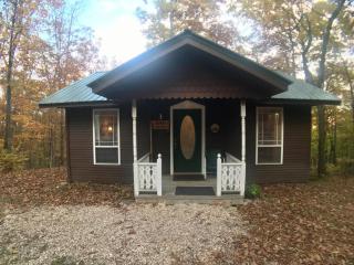 Ozark Spring Cabin Rock Bluff 03 King Bed Spa Tub - Eureka Springs - 3