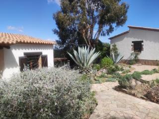El Coto - Begur - 7