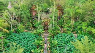 Ubud Art Resort - Ubud - 7
