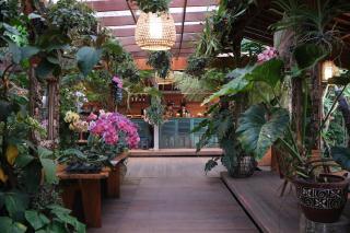 Ubud Art Resort - Ubud - 6