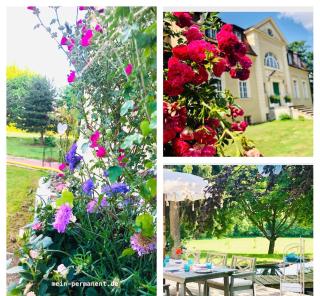 #Bauernhofvilla nur für Frauen - 6