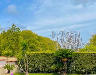 CASA DON TOTO' APARTMENT - Family Comfort Retreat with Private Parking, Quiet Residential Area in ANZIO - 3