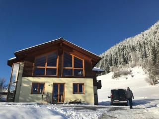 Skiblickhaus - Russbach am Pass Gschütt - 9