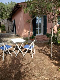 Casa degli Ulivi - Procchio - 2