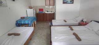 Džodžo Apartments - Ðenovići - 5