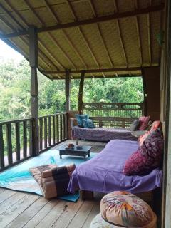 Ubud Jungle River - Ubud - 5